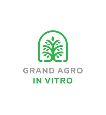 Grand-Agro Invitro MMC