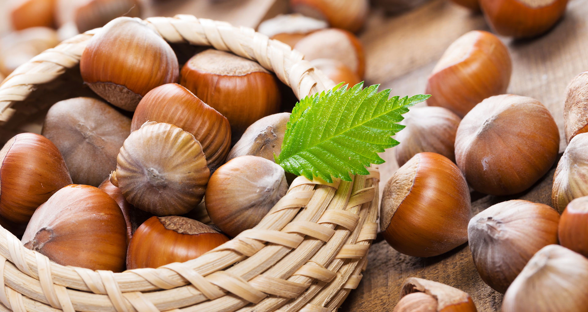 What you might not know about Hazelnuts