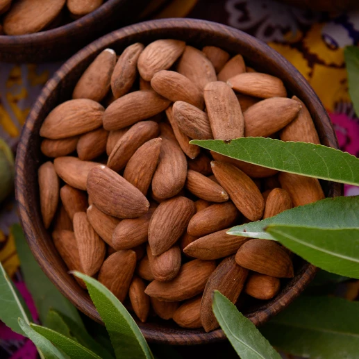 Almond - Almond Avijor